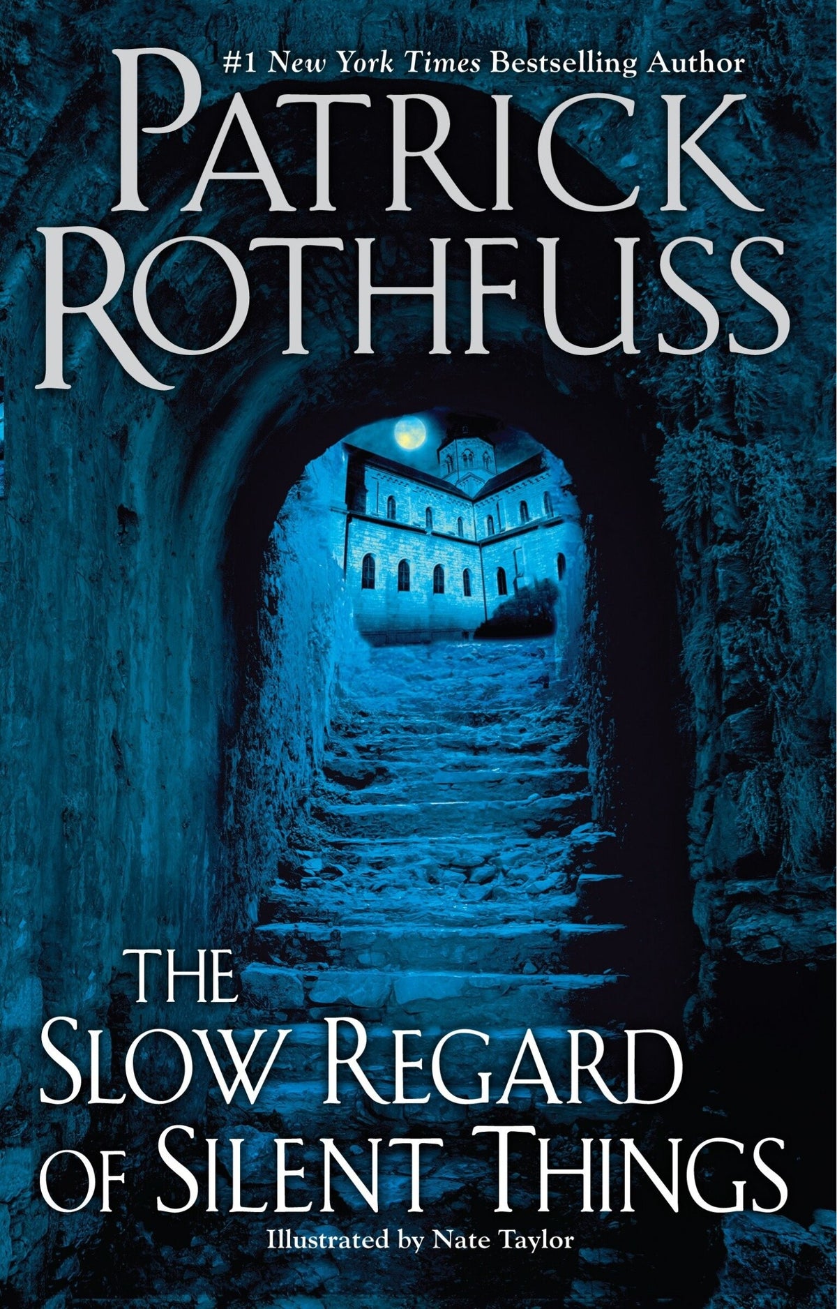 SLOW REGARD OF SILENT THINGS book cover