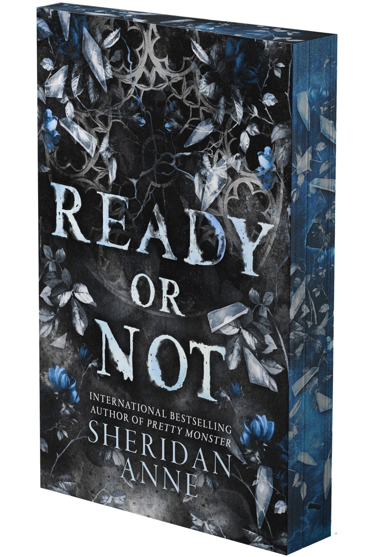 Ready or Not: A Dark Stalker Romance (Deluxe Limited Edition) book cover