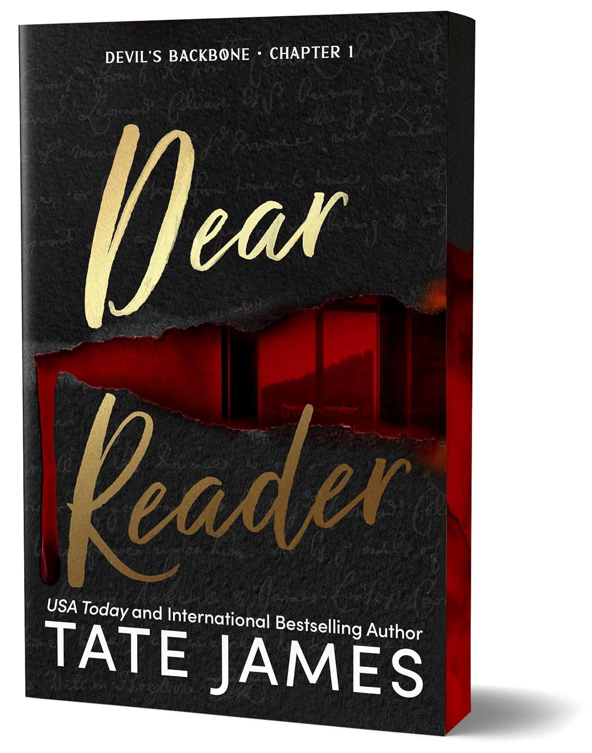 Dear Reader (Deluxe Edition): A Dark Academia Why Choose Romance (Devil's Backbone, 1)
