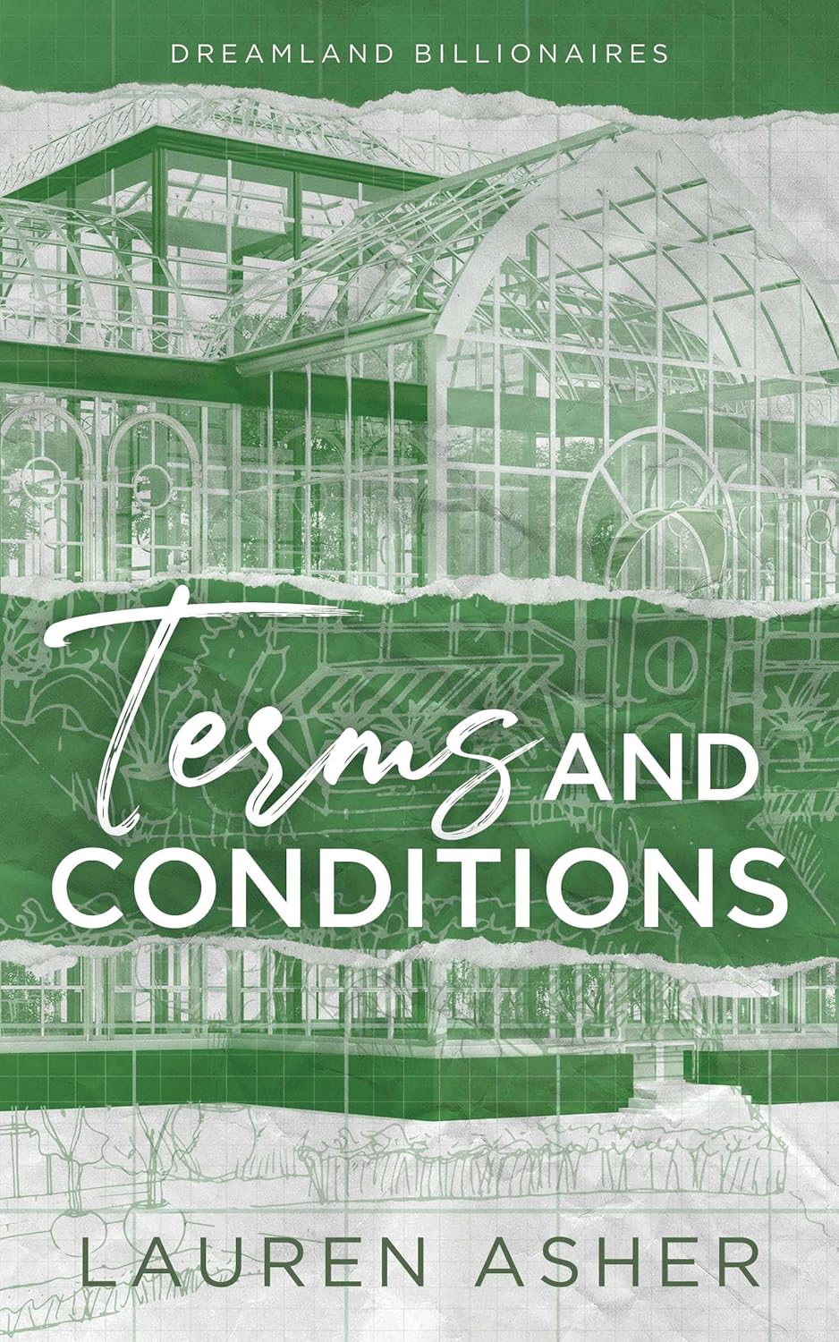 Terms and Conditions (Dreamland Billionaires Book 2)